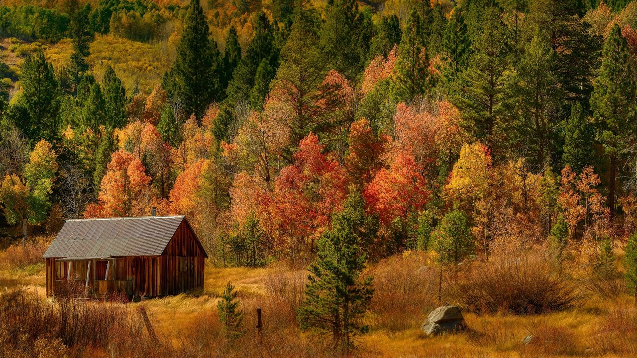 Обои деревья, лес, осень, домик, trees, forest, autumn, house разрешение 6144x2048 Загрузить