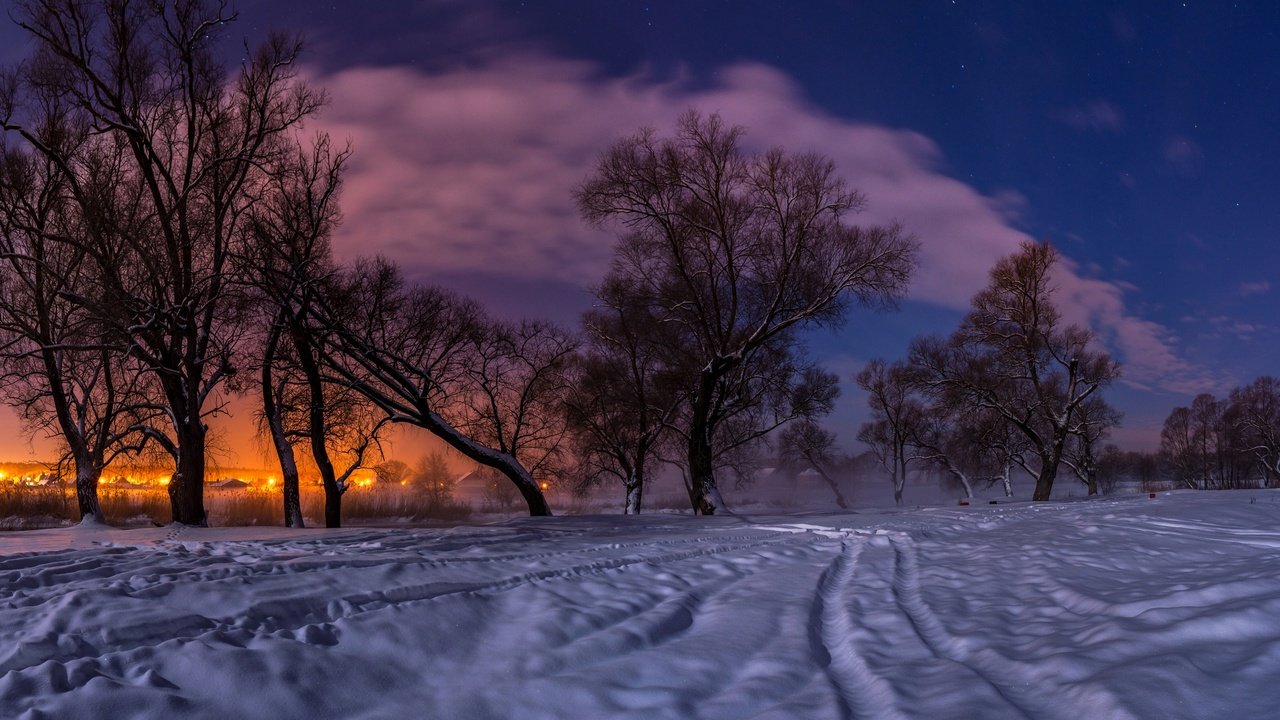 Обои деревья, огни, вечер, снег, природа, закат, зима, пейзаж, trees, lights, the evening, snow, nature, sunset, winter, landscape разрешение 2000x1125 Загрузить