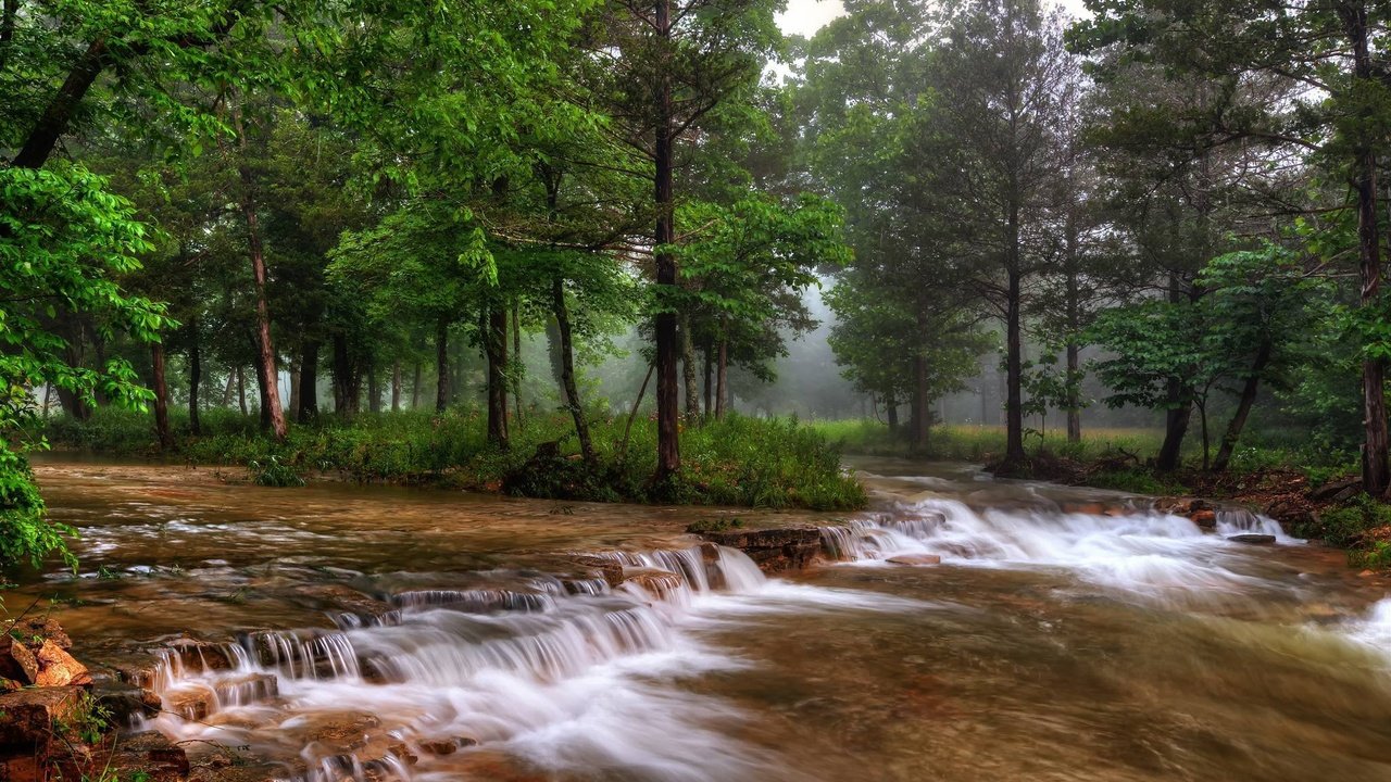 Обои деревья, река, природа, лес, туман, сша, миссури, trees, river, nature, forest, fog, usa, missouri разрешение 2048x1343 Загрузить