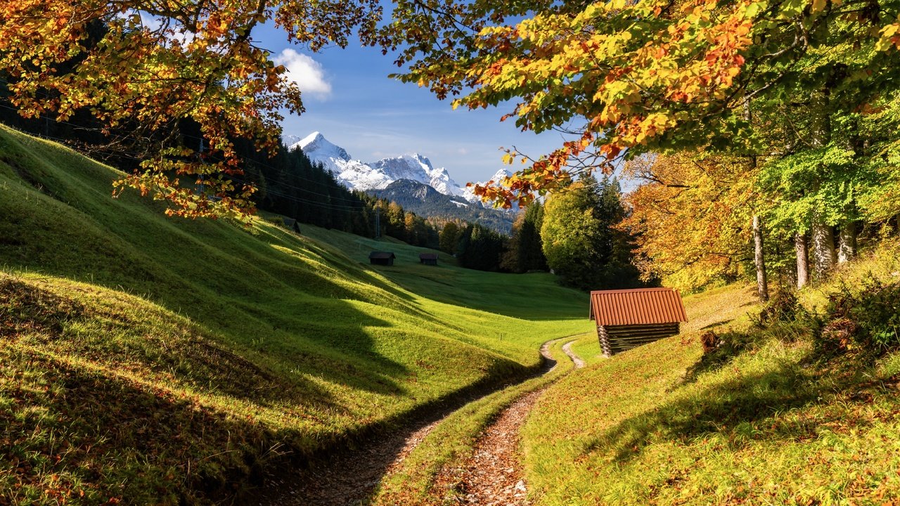 Обои дорога, деревья, горы, лес, осень, германия, бавария, road, trees, mountains, forest, autumn, germany, bayern разрешение 6144x4096 Загрузить