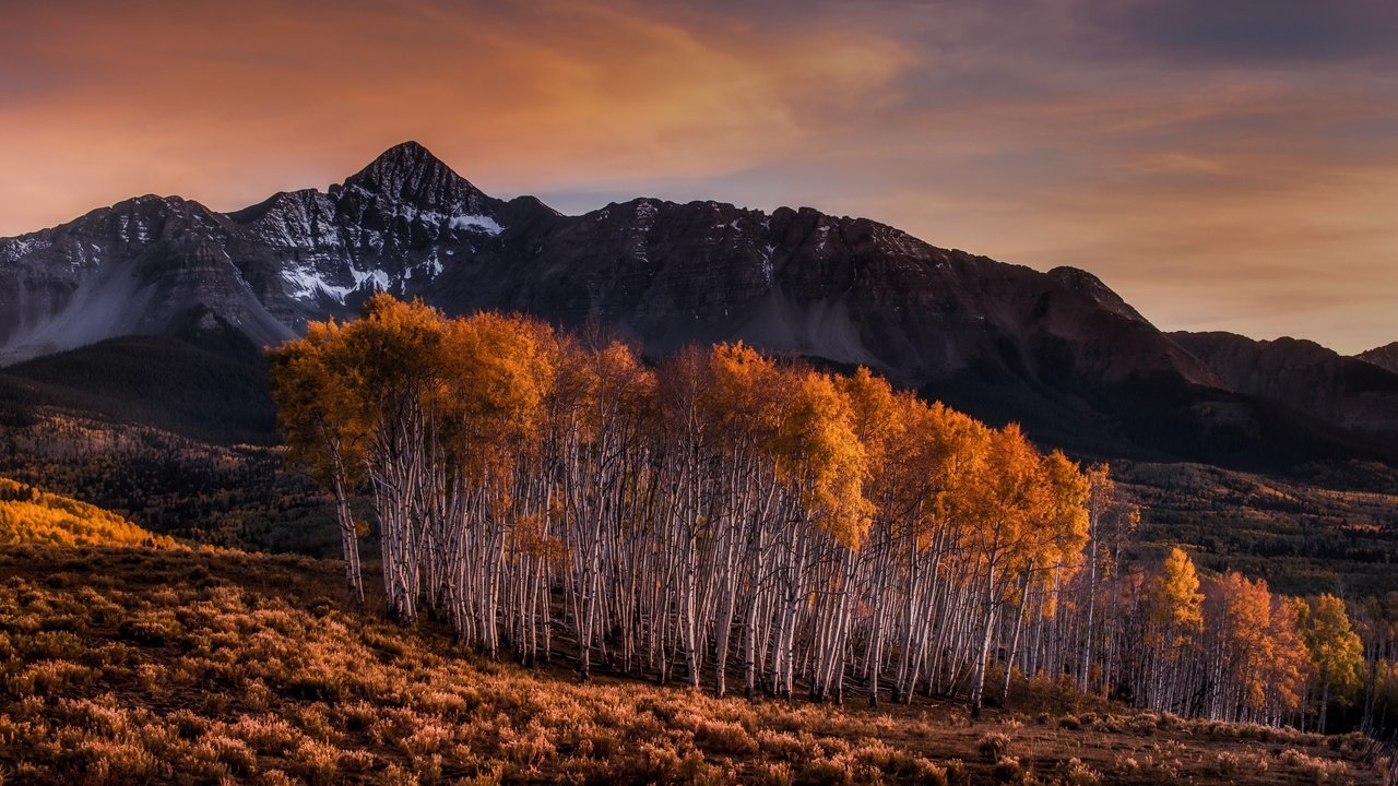 Обои горы, березы, осень, mountains, birch, autumn разрешение 3840x2160 Загрузить