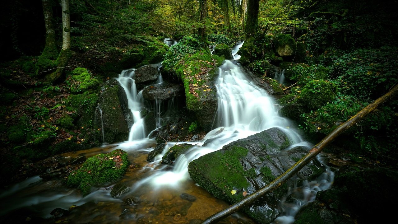 Обои камни, лес, водопад, stones, forest, waterfall разрешение 3840x2160 Загрузить