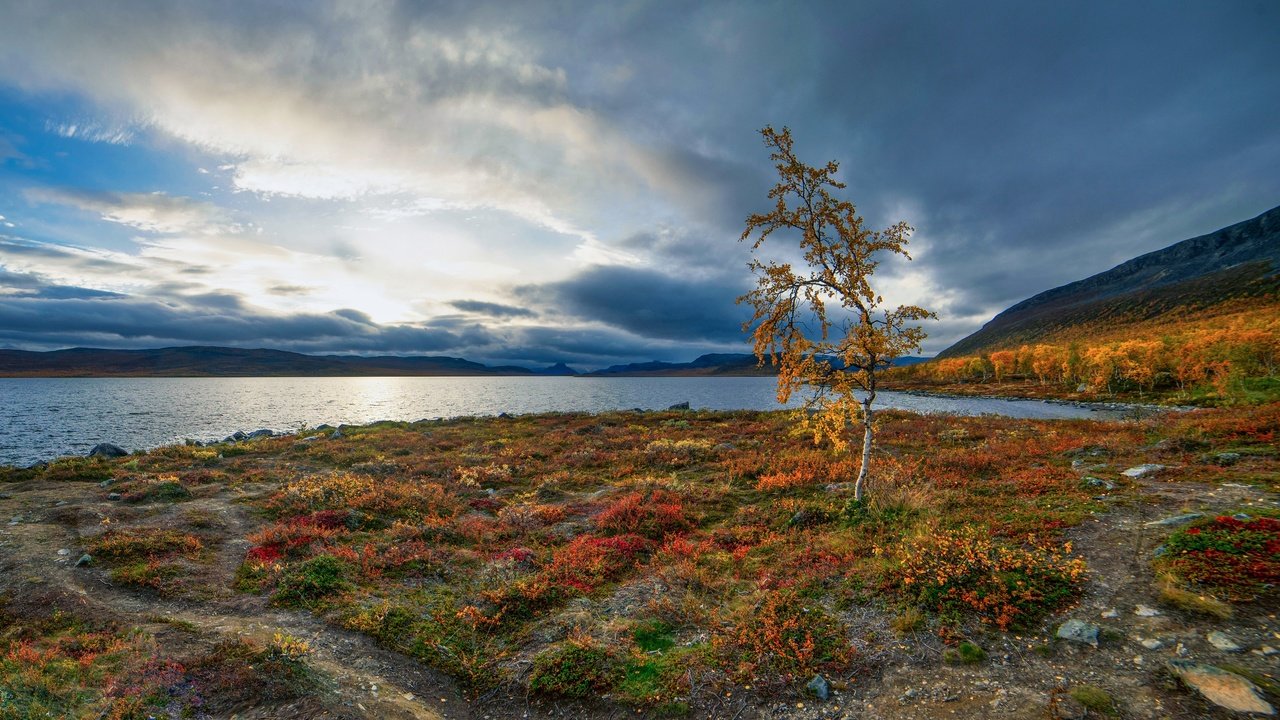 Обои озеро, осень, береза, деревце, финляндия, лапландия, lake, autumn, birch, tree, finland, lapland разрешение 3072x1728 Загрузить