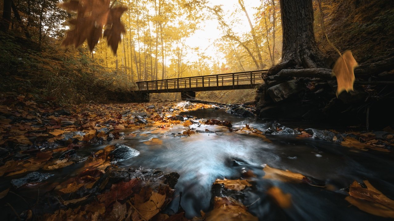 Обои река, мост, осень, river, bridge, autumn разрешение 3840x2160 Загрузить