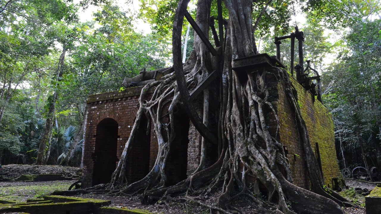 Обои деревья, руины, архитектура, корни, камбоджа, trees, ruins, architecture, roots, cambodia разрешение 4928x3264 Загрузить