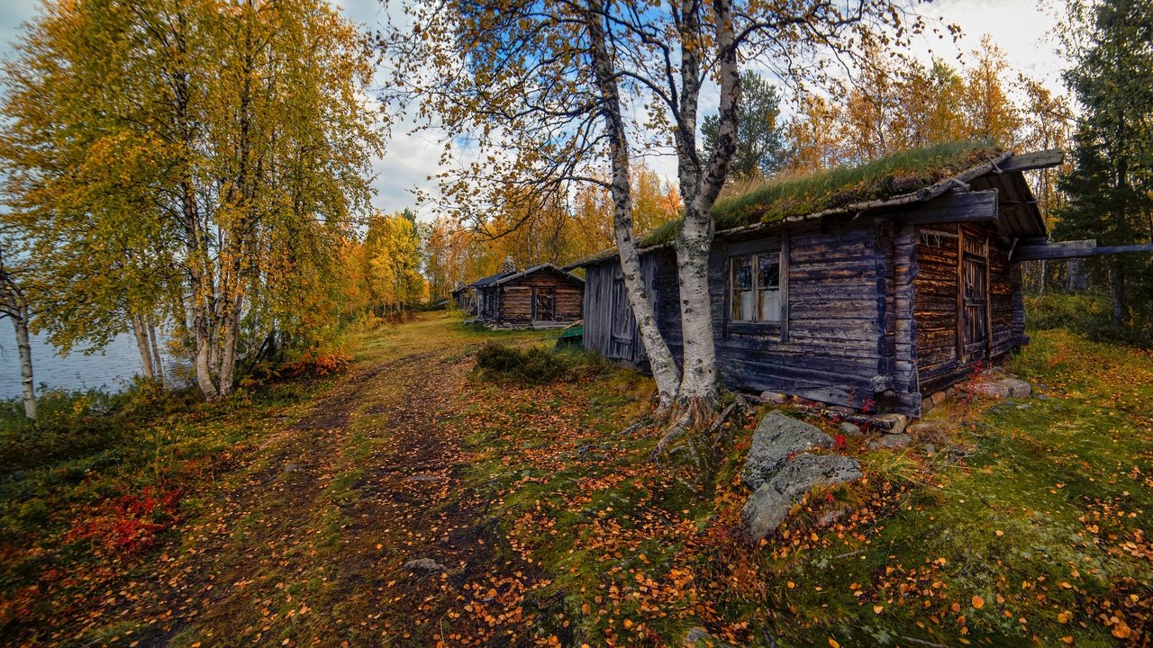 Обои дорога, дом, деревья, домик, окно, берег, листопад, лес, березы, листва, осень, водоем, road, house, trees, window, shore, falling leaves, forest, birch, foliage, autumn, pond разрешение 3072x1728 Загрузить