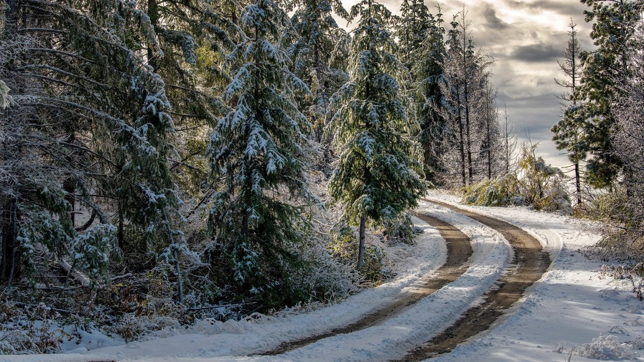 Обои дорога, лес, зима, road, forest, winter разрешение 3840x2160 Загрузить