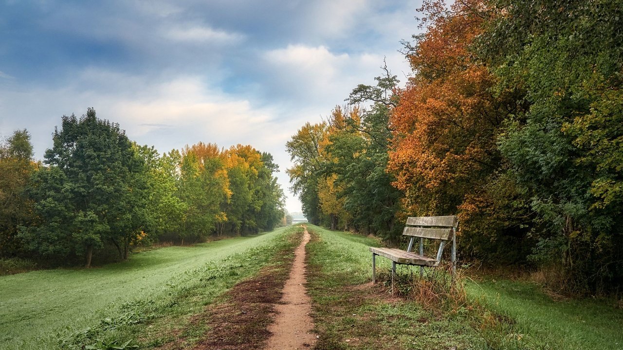 Обои дорога, осень, скамья, road, autumn, bench разрешение 2048x1365 Загрузить