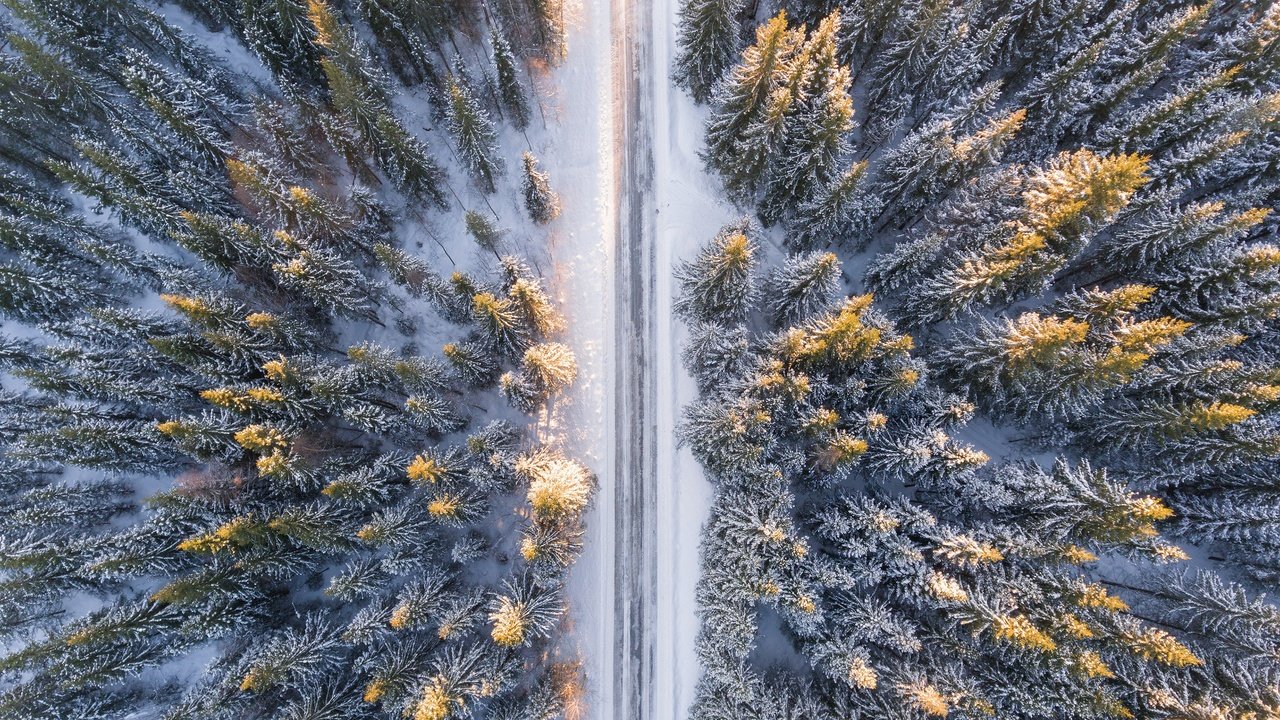 Обои дорога, снег, лес, зима, ели, road, snow, forest, winter, ate разрешение 3840x2160 Загрузить