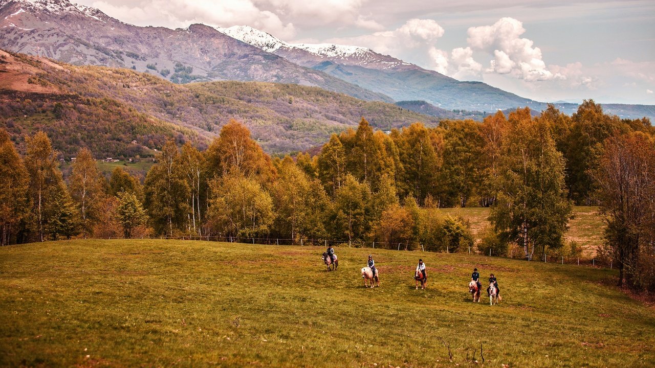 Обои горы, лес, осень, лошади, кони, mountains, forest, autumn, horse, horses разрешение 3840x2160 Загрузить