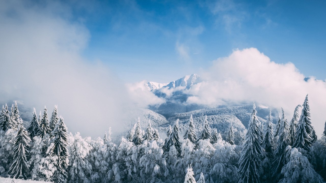 Обои небо, иней, облака, ели, деревья, горы, снег, лес, зима, туман, the sky, frost, clouds, ate, trees, mountains, snow, forest, winter, fog разрешение 3840x2560 Загрузить