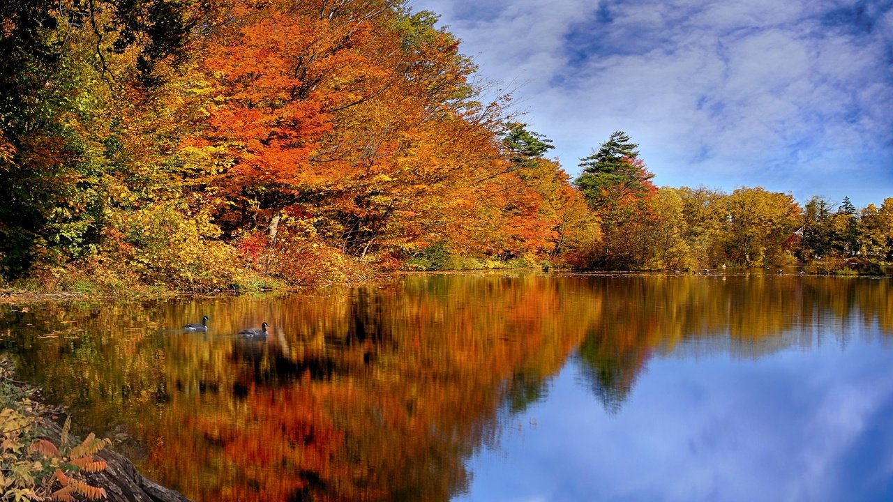 Обои небо, река, осень, канада, the sky, river, autumn, canada разрешение 3071x2048 Загрузить