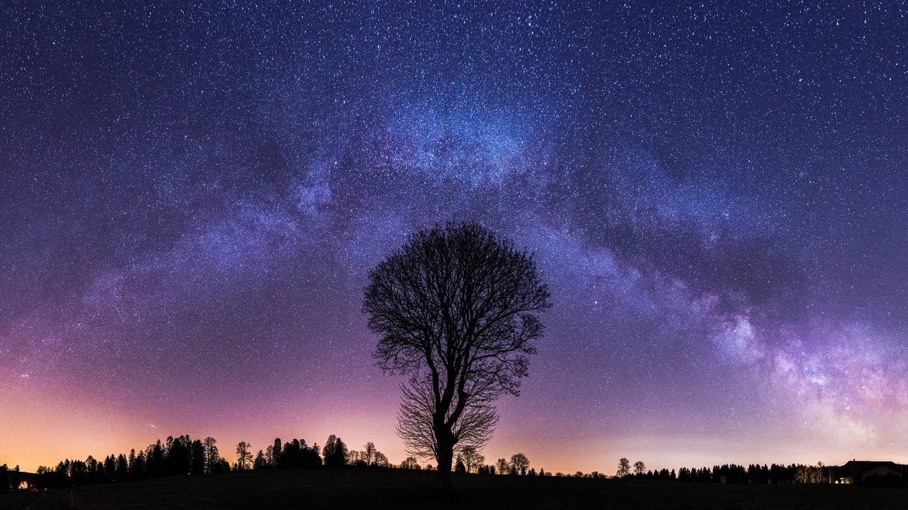 Обои ночь, дерево, звезды, млечный путь, night, tree, stars, the milky way разрешение 3840x2160 Загрузить
