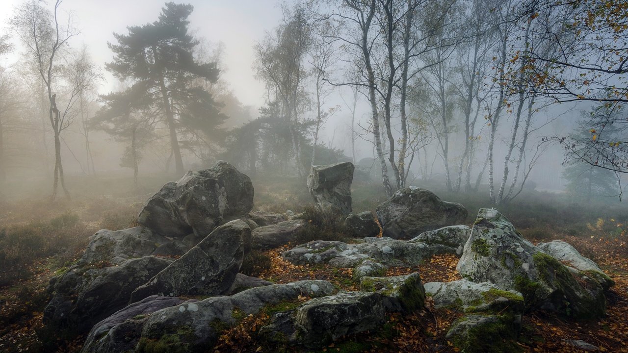 Обои природа, туман, nature, fog разрешение 3840x2160 Загрузить