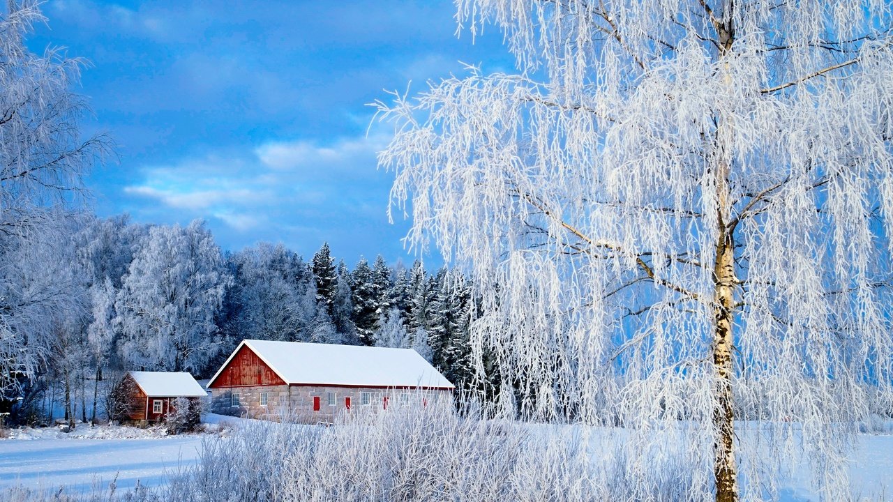 Обои снег, зима, зимний лес, snow, winter, winter forest разрешение 3056x1931 Загрузить