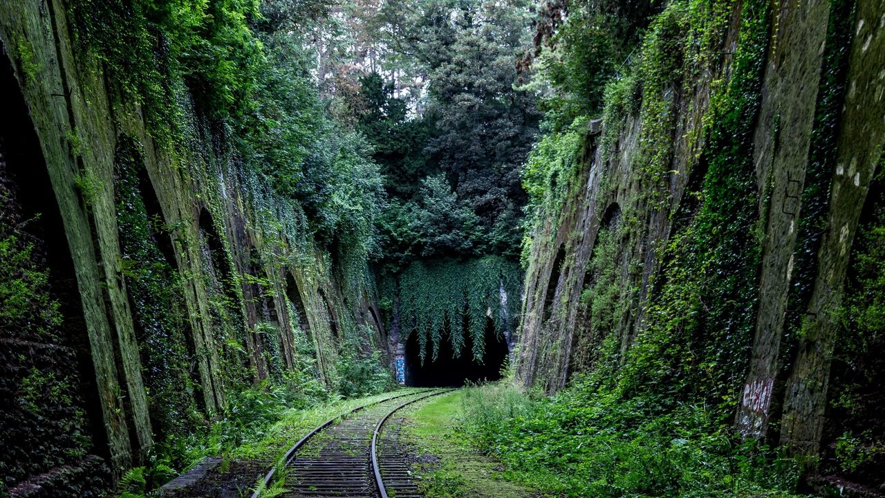 Обои деревья, железная дорога, природа, мох, тоннель, trees, railroad, nature, moss, the tunnel разрешение 3840x2560 Загрузить