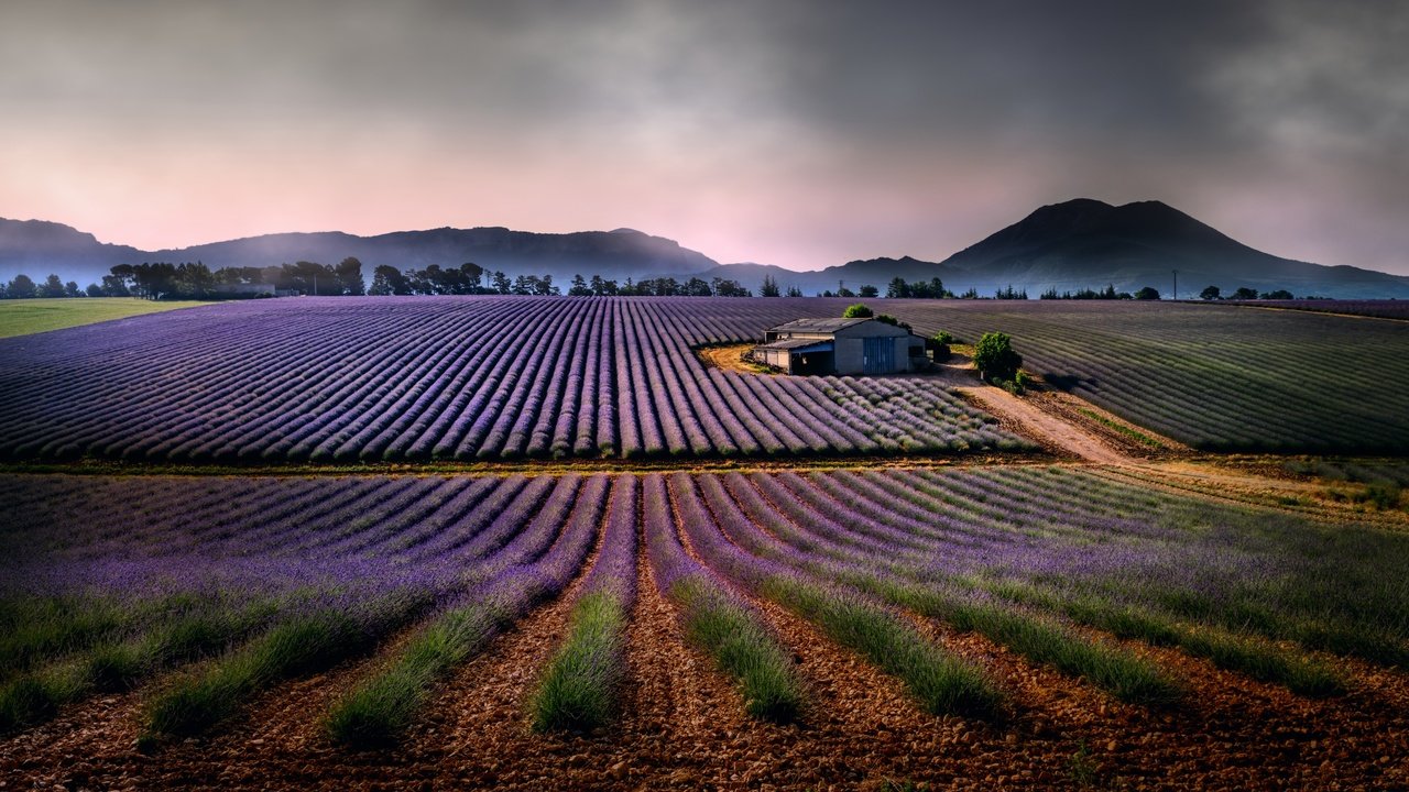 Обои горы, природа, пейзаж, поля, лаванда, дом, mountains, nature, landscape, field, lavender, house разрешение 4000x2250 Загрузить