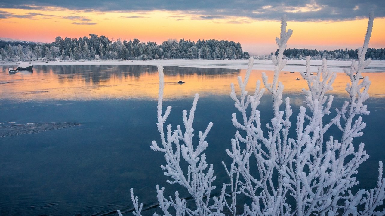 Обои озеро, ветки, иней, осень, швеция, ноябрь, лапландия, изморозь, lake, branches, frost, autumn, sweden, november, lapland разрешение 2048x1362 Загрузить