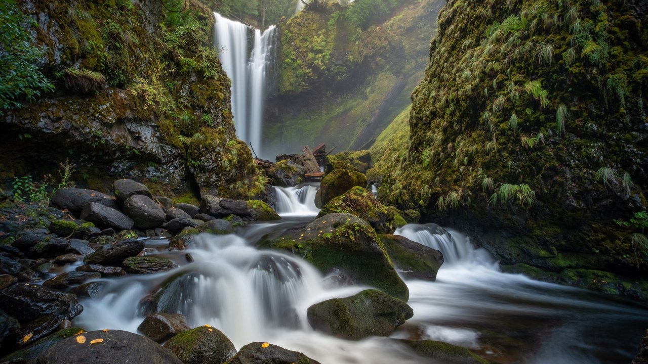 Обои скалы, falls creek falls, falls creek, камни, ручей, водопад, мох, штат вашингтон, штате вашингтон, gifford pinchot национальный лес, rocks, stones, stream, waterfall, moss, washington, washington state, gifford pinchot national forest разрешение 2112x1188 Загрузить