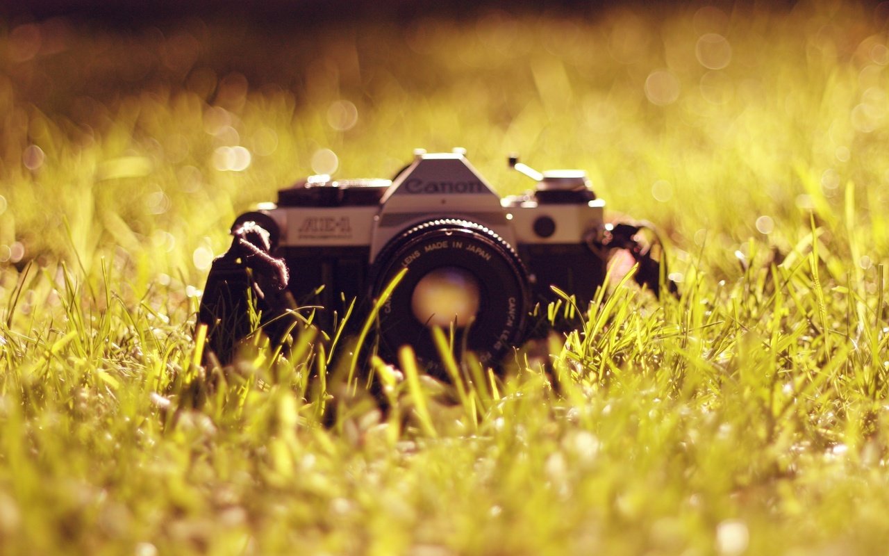 Обои трава, фотоаппарат, объектив, антиквариат, канон, grass, the camera, lens, antiques, canon разрешение 3855x2563 Загрузить