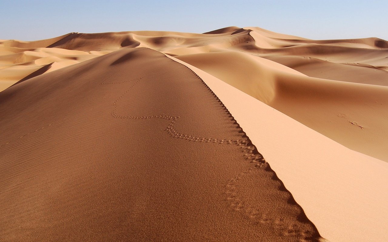 Обои песок, пустыня, следы, sand, desert, traces разрешение 1920x1080 Загрузить