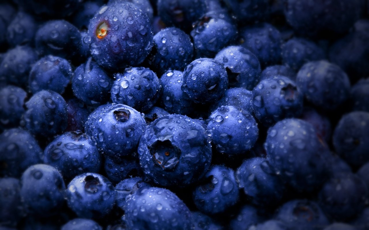 Обои ягоды, черника, bilberries, berries, blueberries разрешение 2560x1600 Загрузить