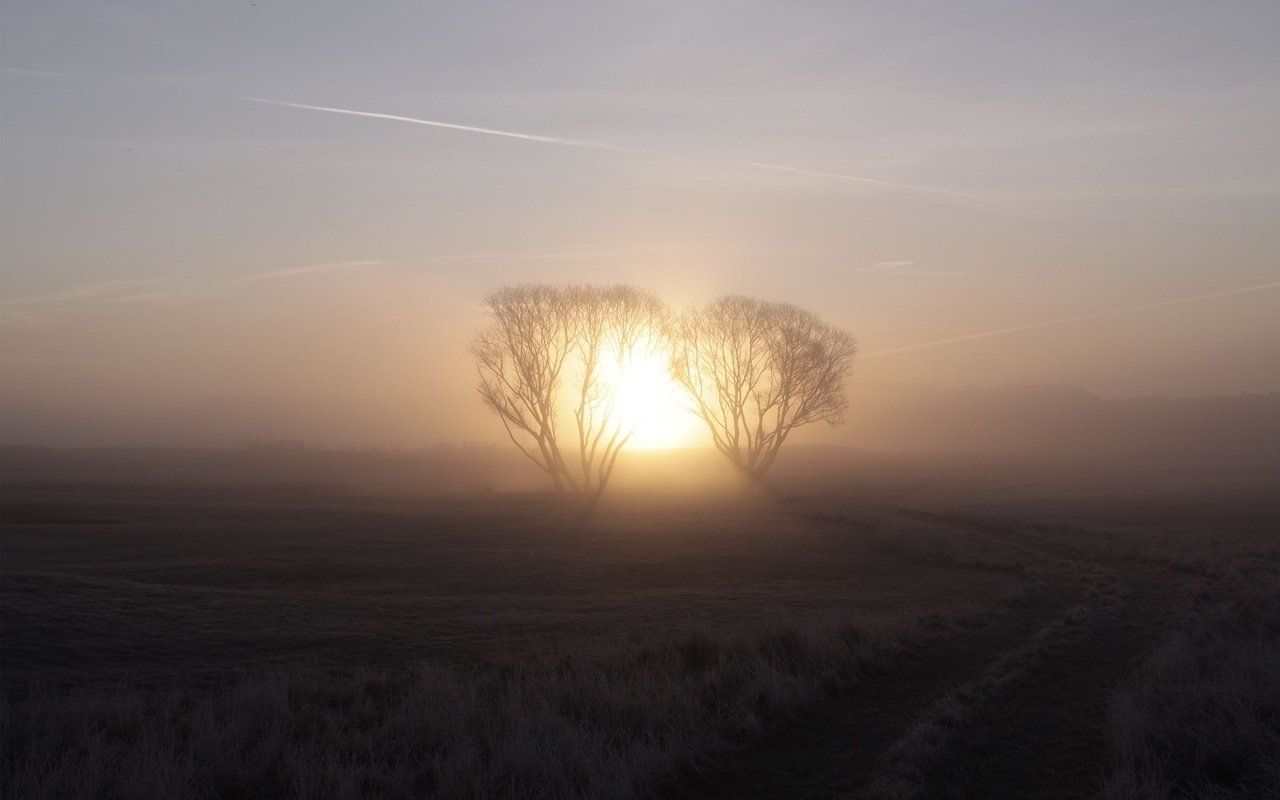 Обои восход, солнце, дерево, туман, sunrise, the sun, tree, fog разрешение 3000x2000 Загрузить