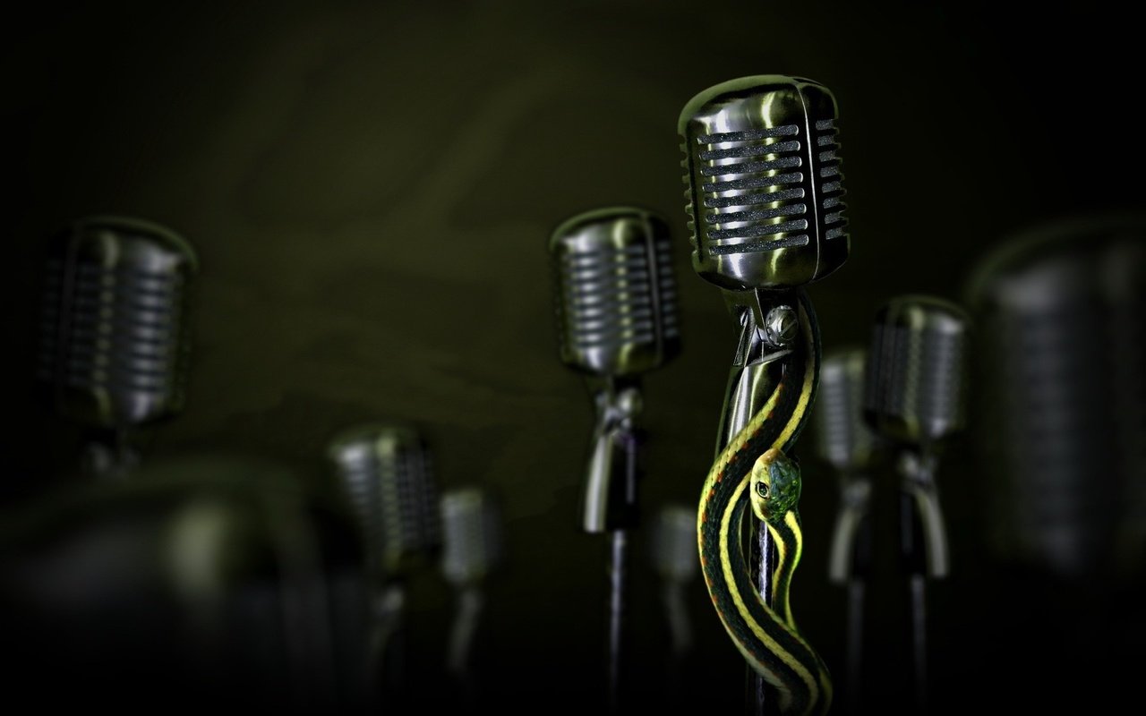 Обои микрофон, змея, microphone, snake разрешение 1920x1200 Загрузить