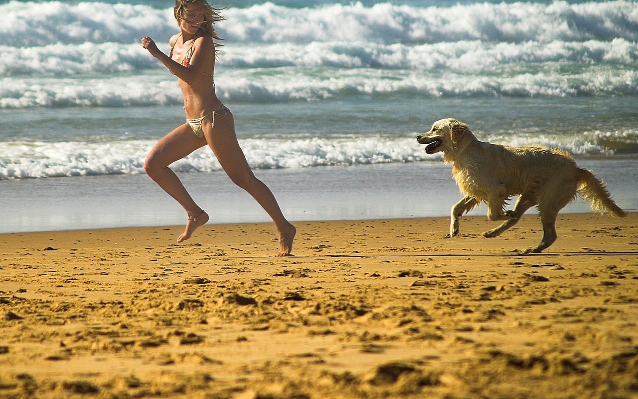 Скачать обои девушка, пляж, собака, лабрадор, girl разрешение 1280x800 #358...