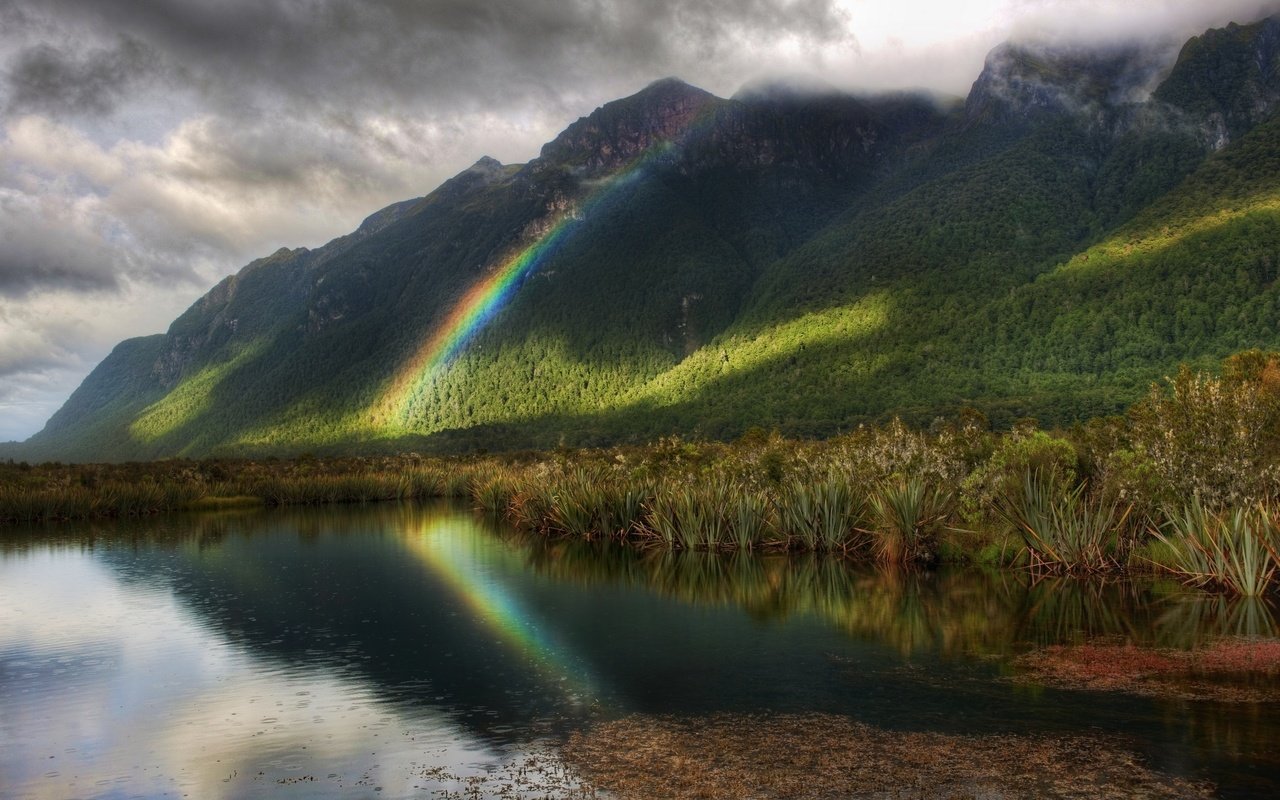 Обои деревья, радуга, водоем, дождь, trees, rainbow, pond, rain разрешение 2560x1600 Загрузить