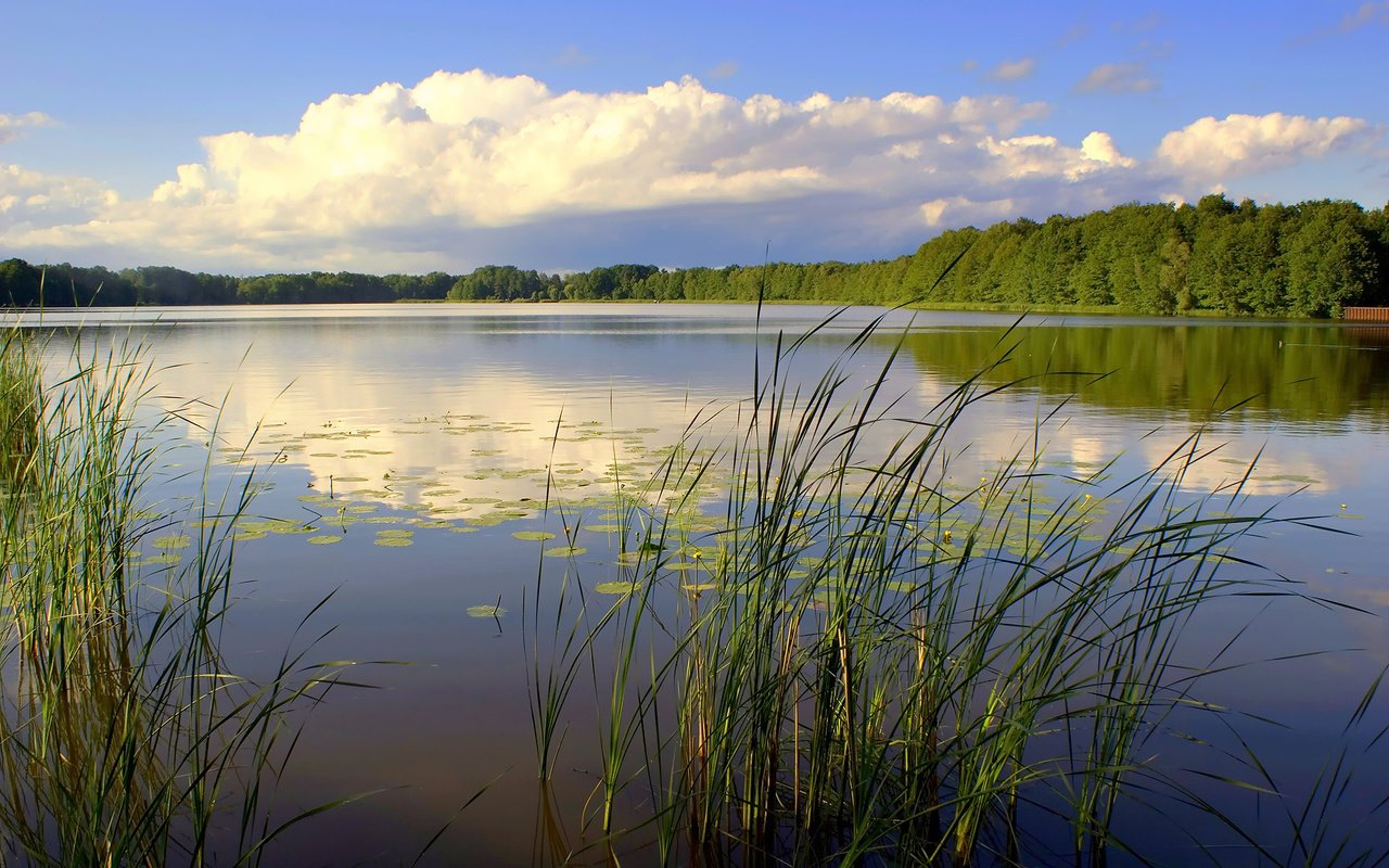 Обои небо, река, природа, лес, пейзаж, the sky, river, nature, forest, landscape разрешение 1920x1200 Загрузить