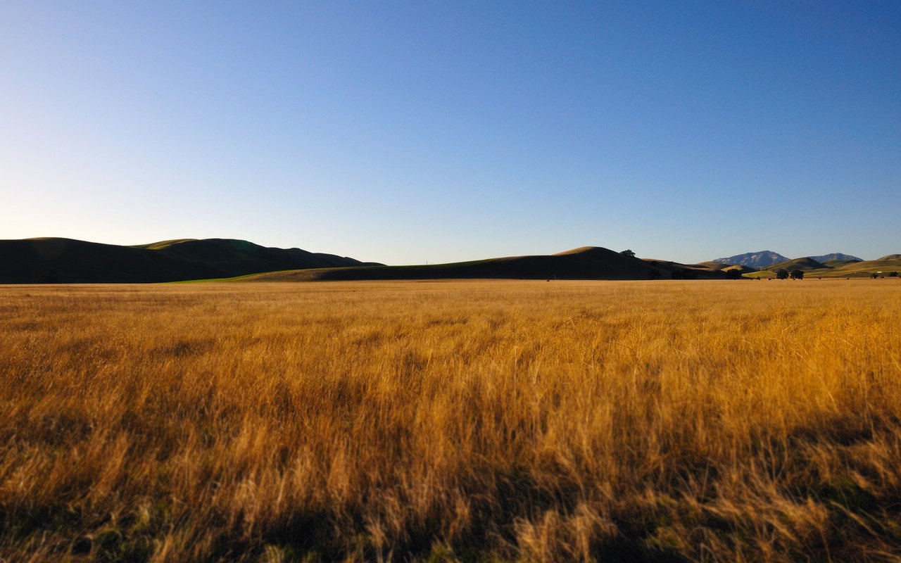 Обои небо, горы, поле, пшеница, the sky, mountains, field, wheat разрешение 4288x2848 Загрузить