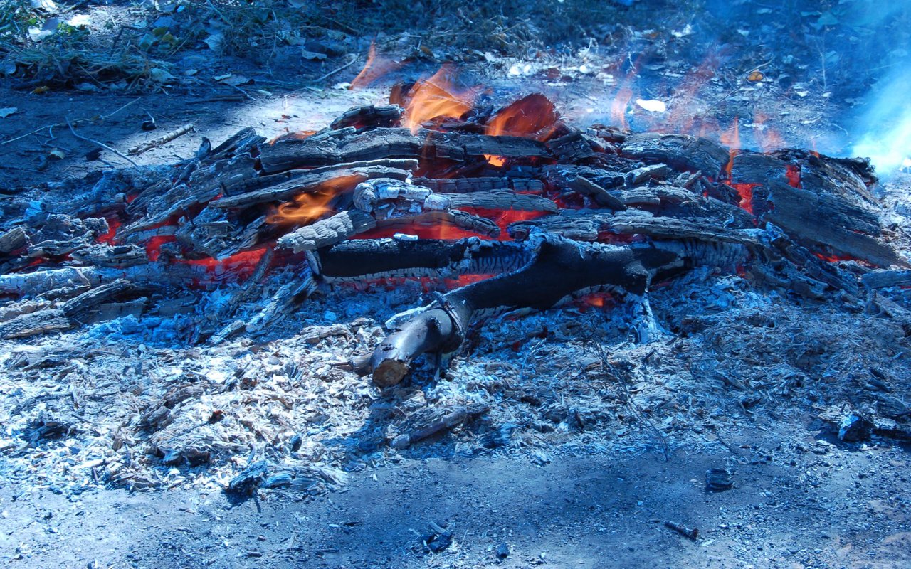 Обои пламя, огонь, полено, flame, fire, log разрешение 2560x1600 Загрузить