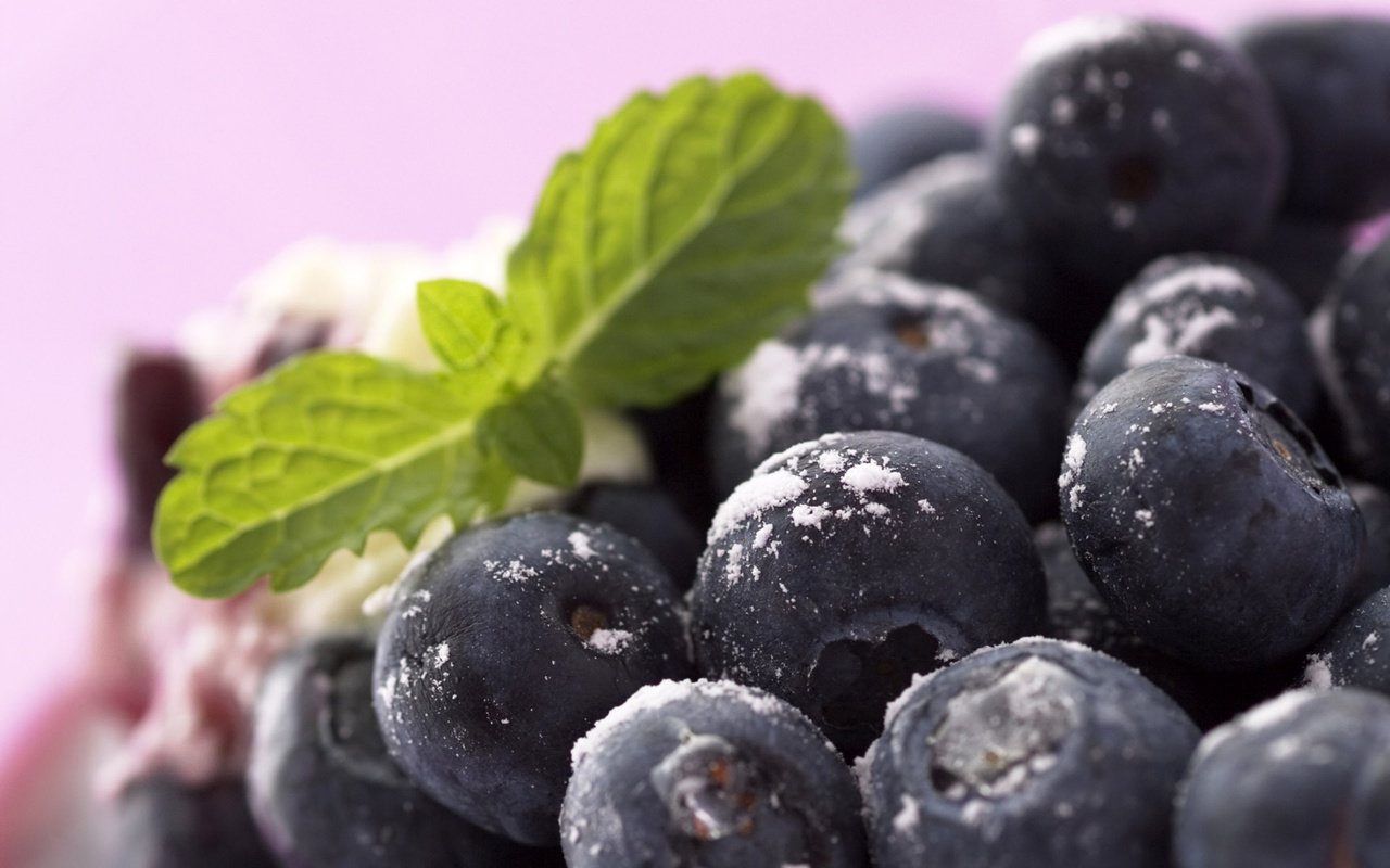 Обои ягода, черника, лесная, berry, blueberries, forest разрешение 1920x1200 Загрузить