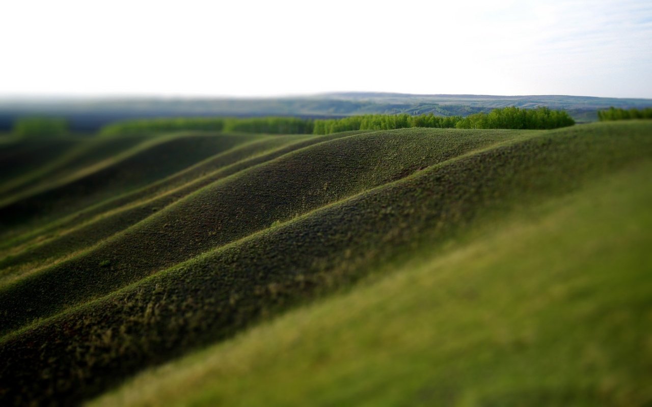 Обои зелень, склон долины, greens, the slope of the valley разрешение 1920x1200 Загрузить