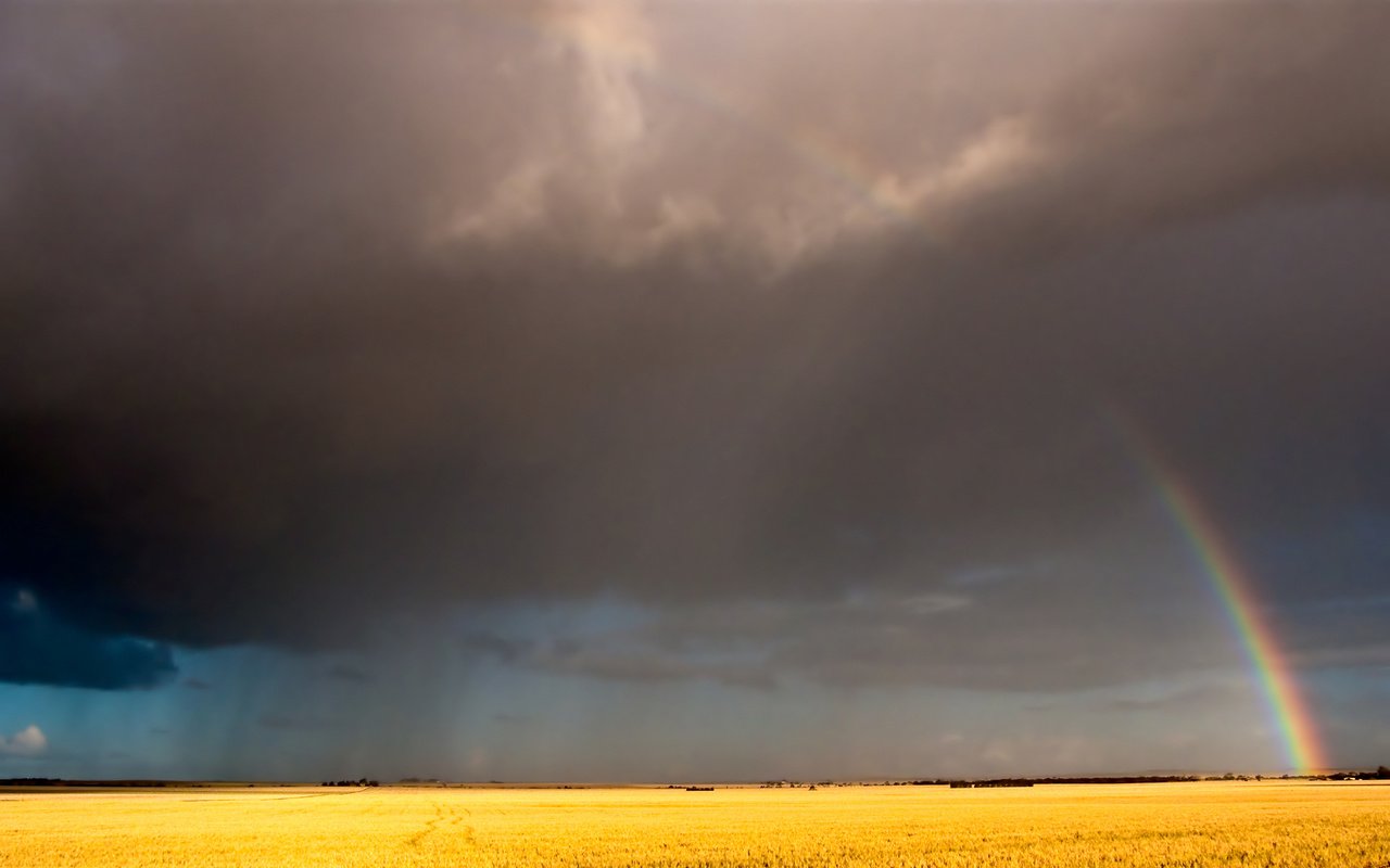 Обои небо, облака, поле, радуга, the sky, clouds, field, rainbow разрешение 2560x1600 Загрузить