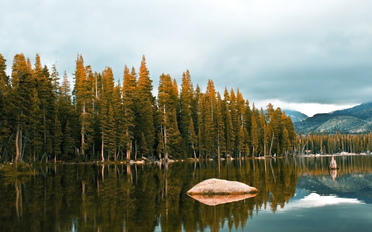 Обои деревья, леса, вода, озеро, река, камни, обои, пейзажи, красота, trees, forest, water, lake, river, stones, wallpaper, landscapes, beauty разрешение 2560x1600 Загрузить