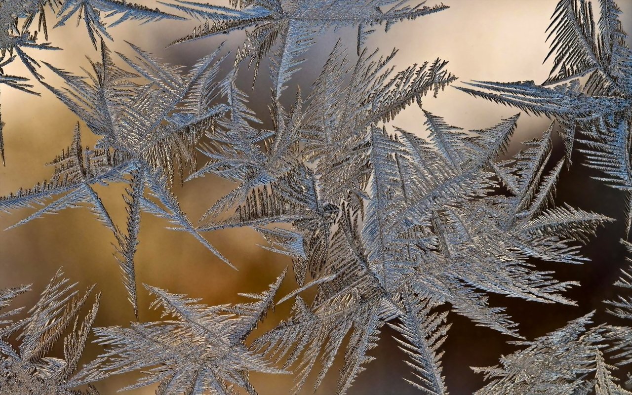Обои зима, стекло, наледь, winter, glass, frost разрешение 1920x1200 Загрузить