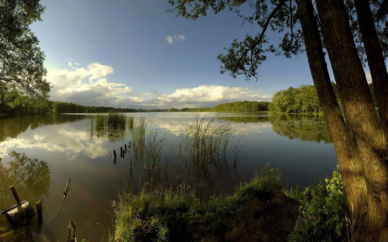 Обои облака, деревья, озеро, гладь, clouds, trees, lake, surface разрешение 1920x1200 Загрузить