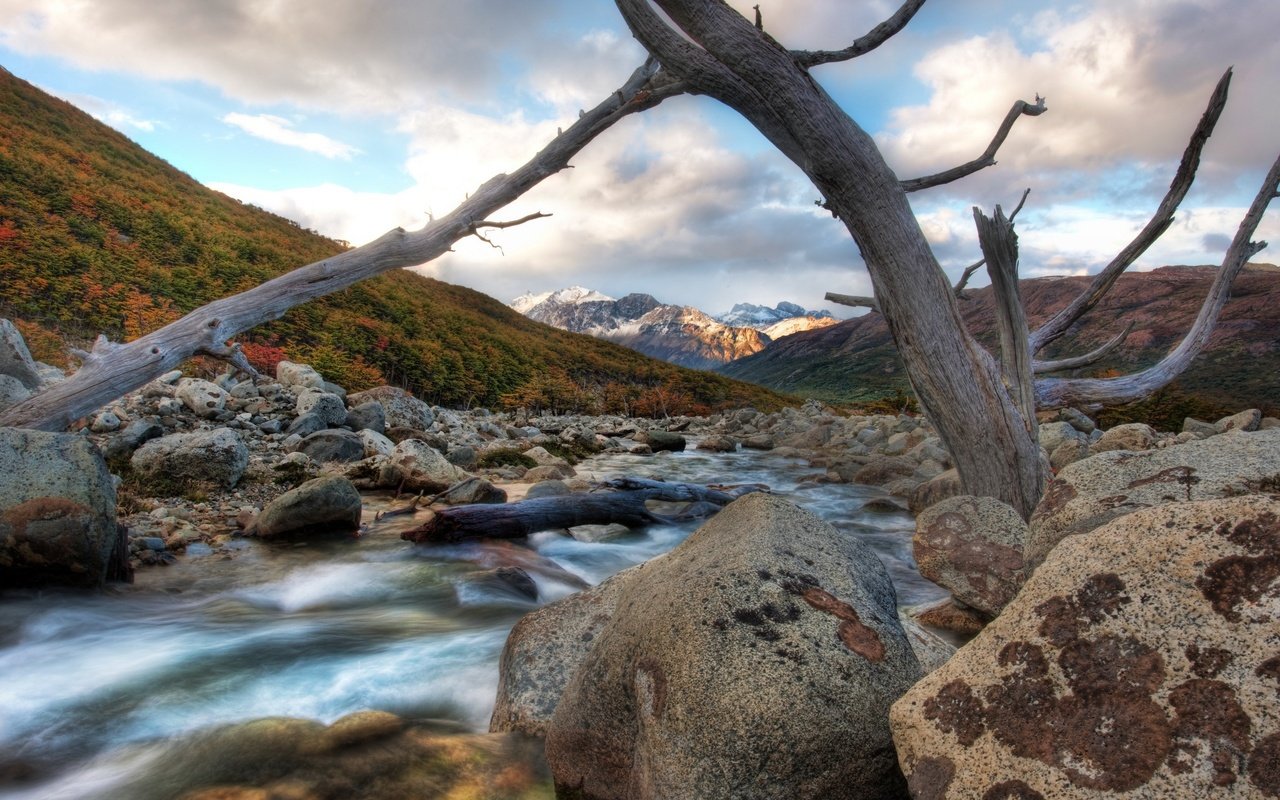 Обои река, горы, ветка, камни, river, mountains, branch, stones разрешение 2560x1600 Загрузить