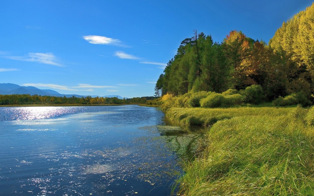 Обои озеро, берег, лето, lake, shore, summer разрешение 3200x1200 Загрузить