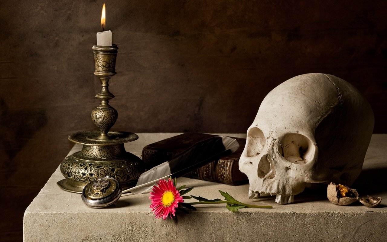 Обои череп, свеча, книга, skull, candle, book разрешение 4056x2830 Загрузить