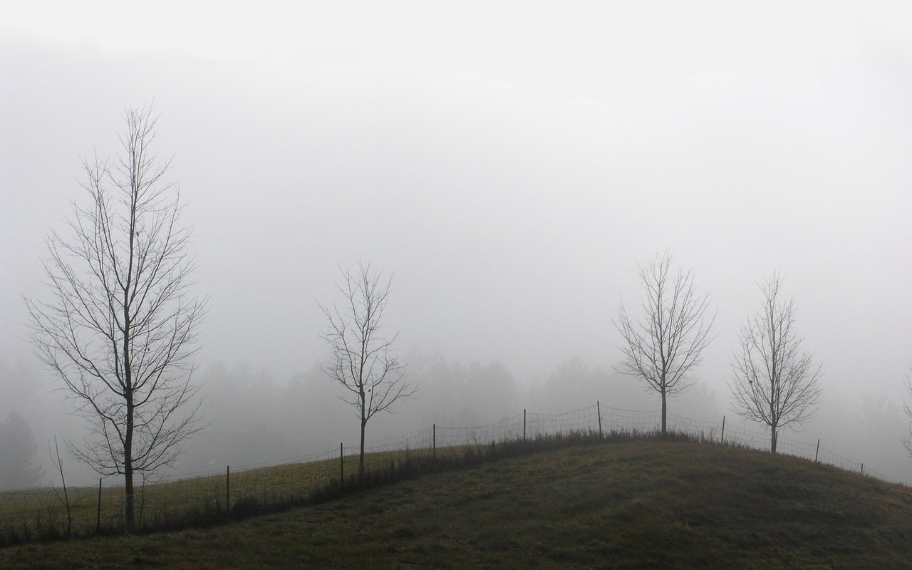 Обои деревья, туман, забор, холм, trees, fog, the fence, hill разрешение 1920x1440 Загрузить