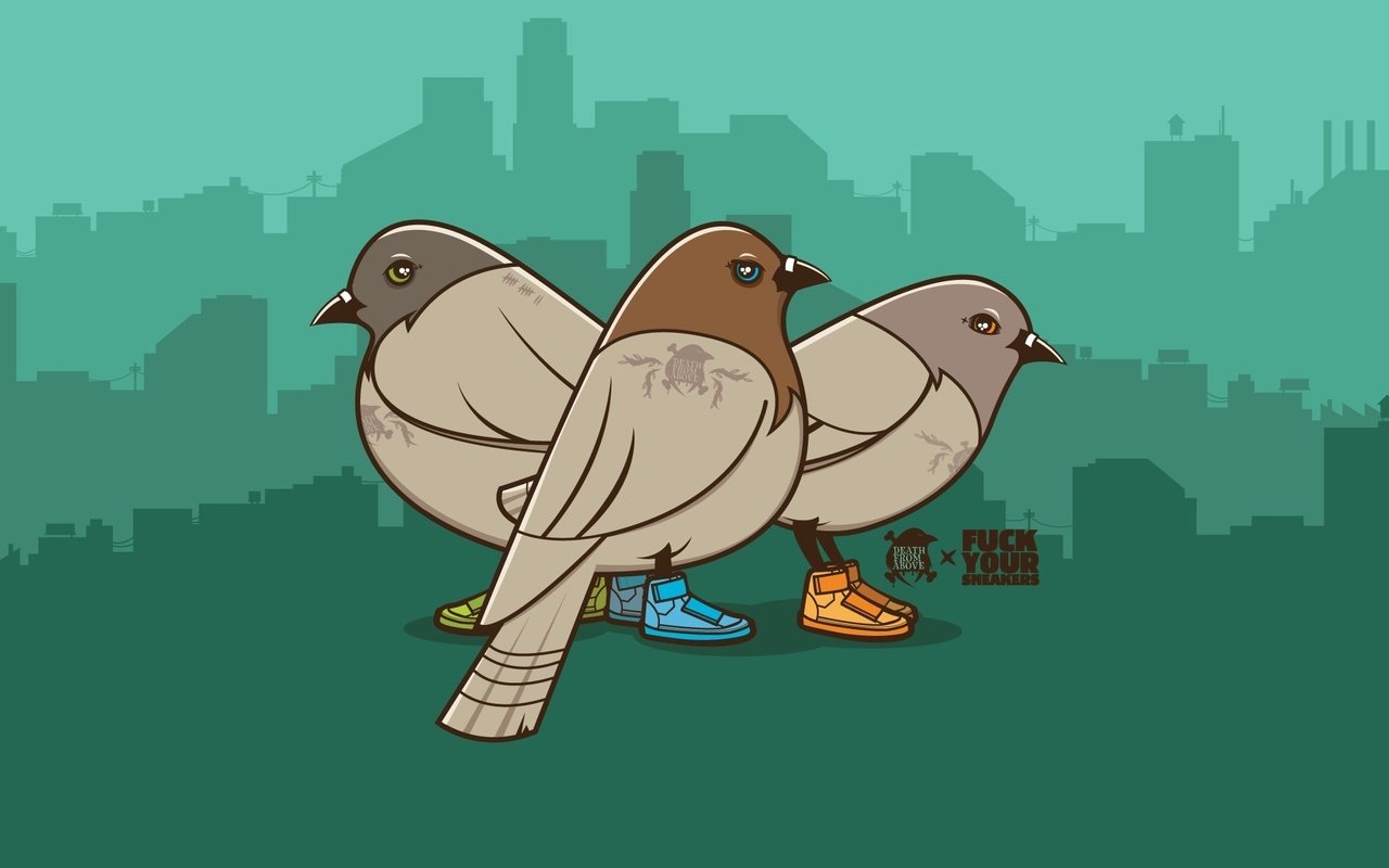 Обои вектор, кеды, голуби, vector, sneakers, pigeons разрешение 1920x1200 Загрузить