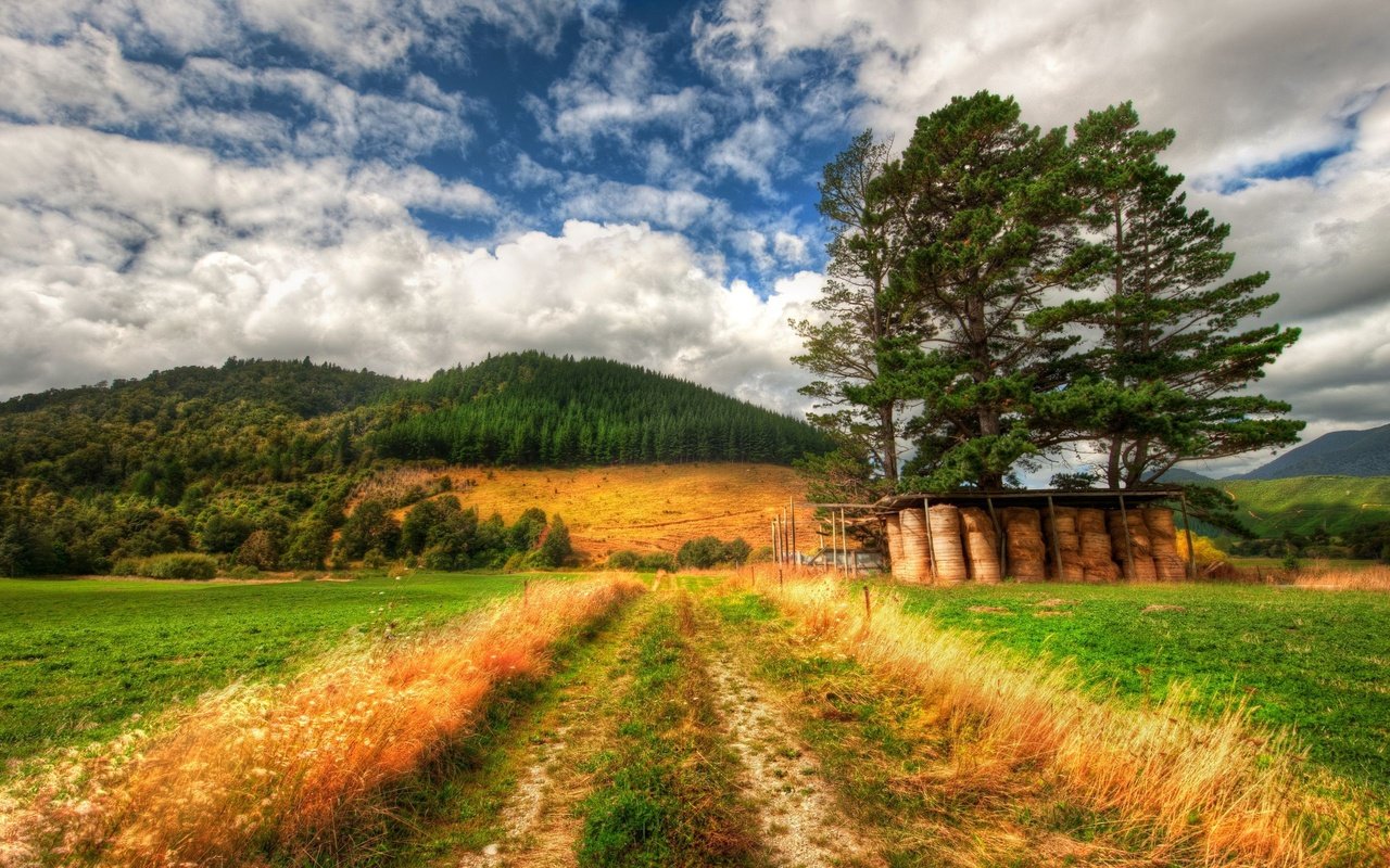 Обои небо, дорога, трава, облака, природа, лес, поле, трава.деревья, the sky, road, grass, clouds, nature, forest, field, grass.trees разрешение 2560x1600 Загрузить