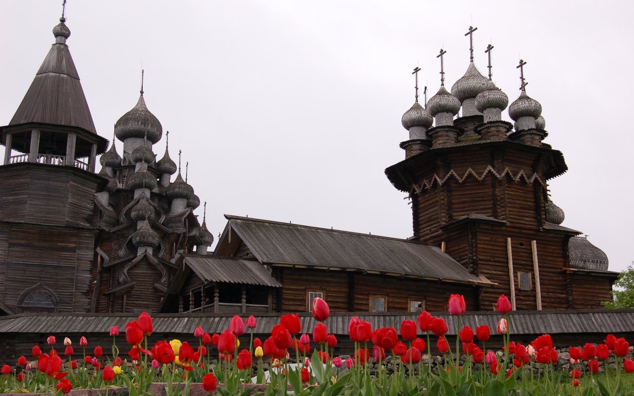 Обои цветы, крупный план, кижи, flowers, close-up, kizhi разрешение 3008x2000 Загрузить