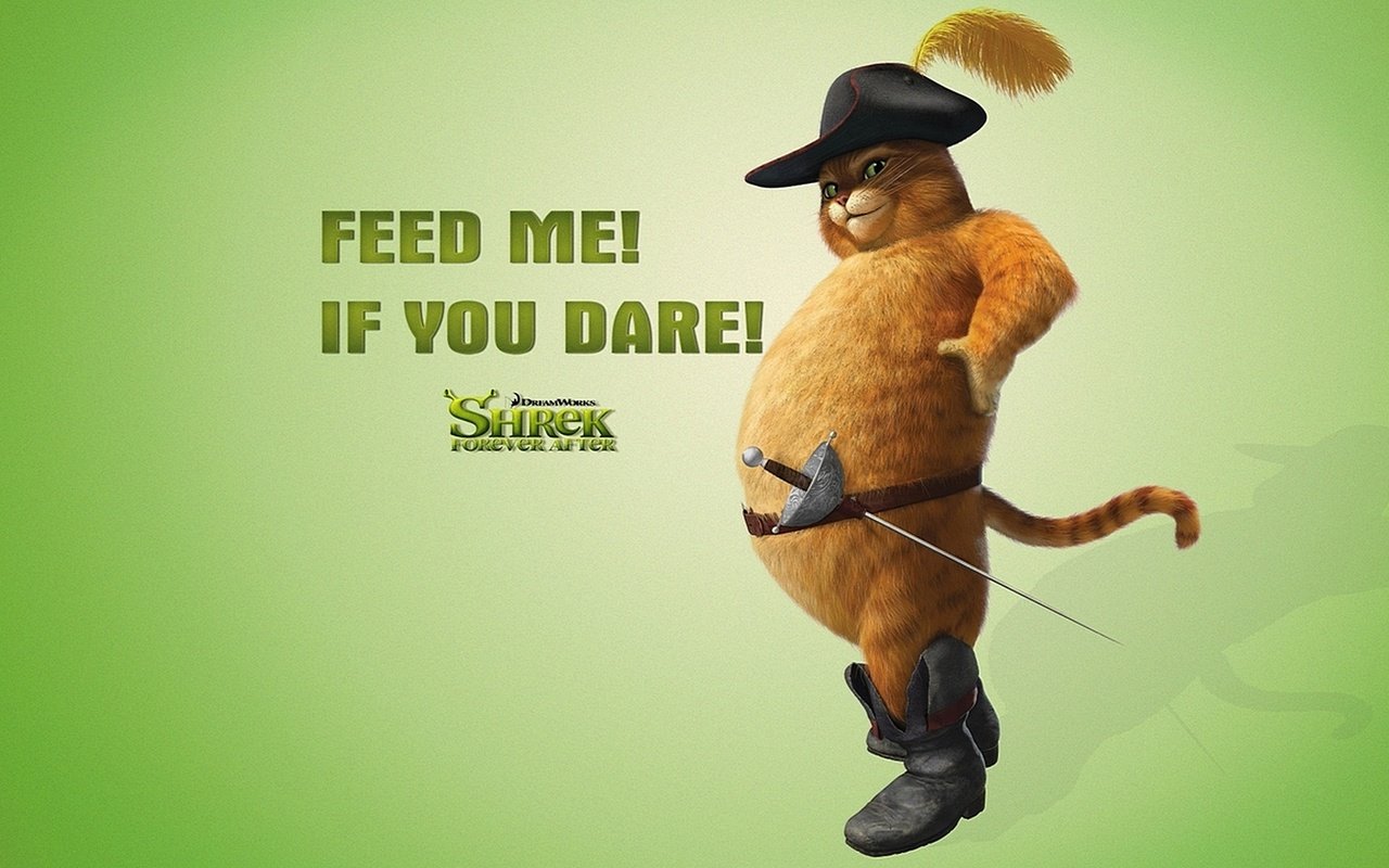 Обои кот, шрек, пузо, приколы, из мультфильма, cat, shrek, belly, fun, cartoon разрешение 1920x1080 Загрузить