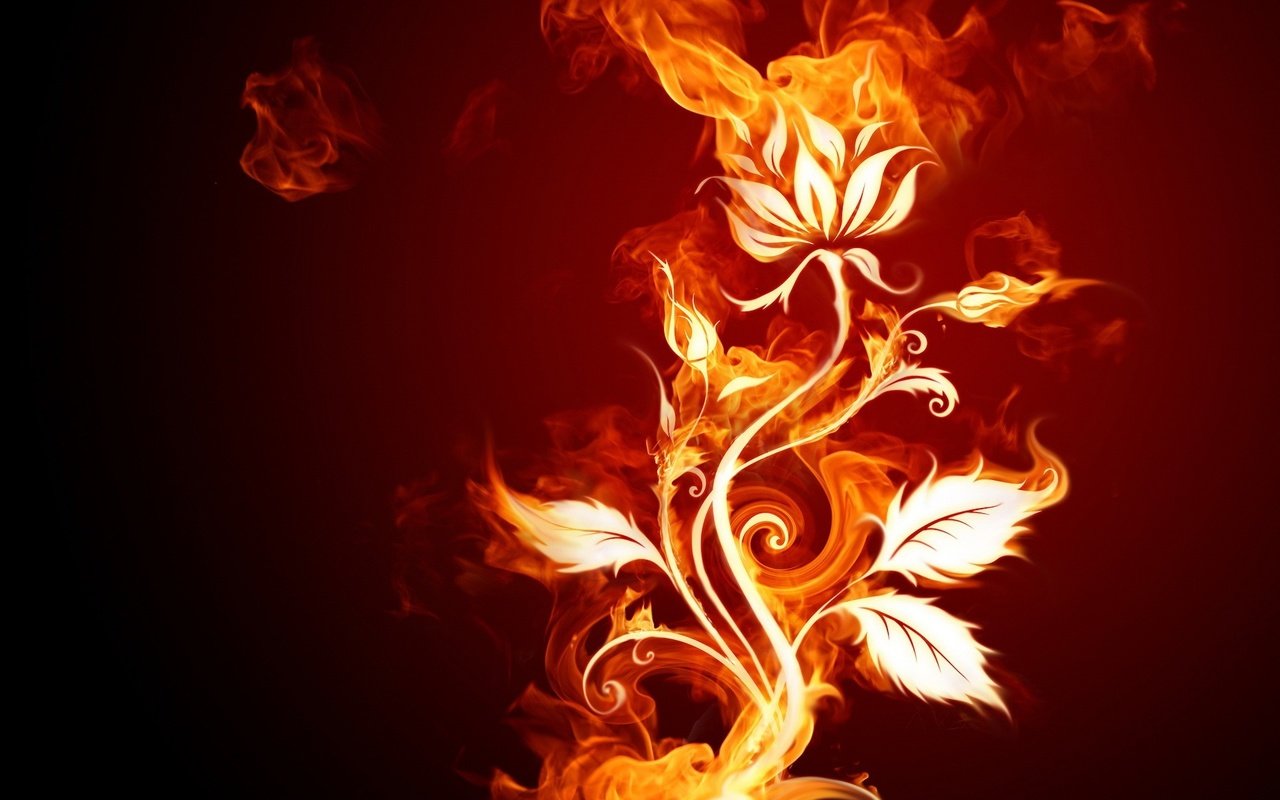 Обои цветок, огонь, flower, fire разрешение 1920x1440 Загрузить