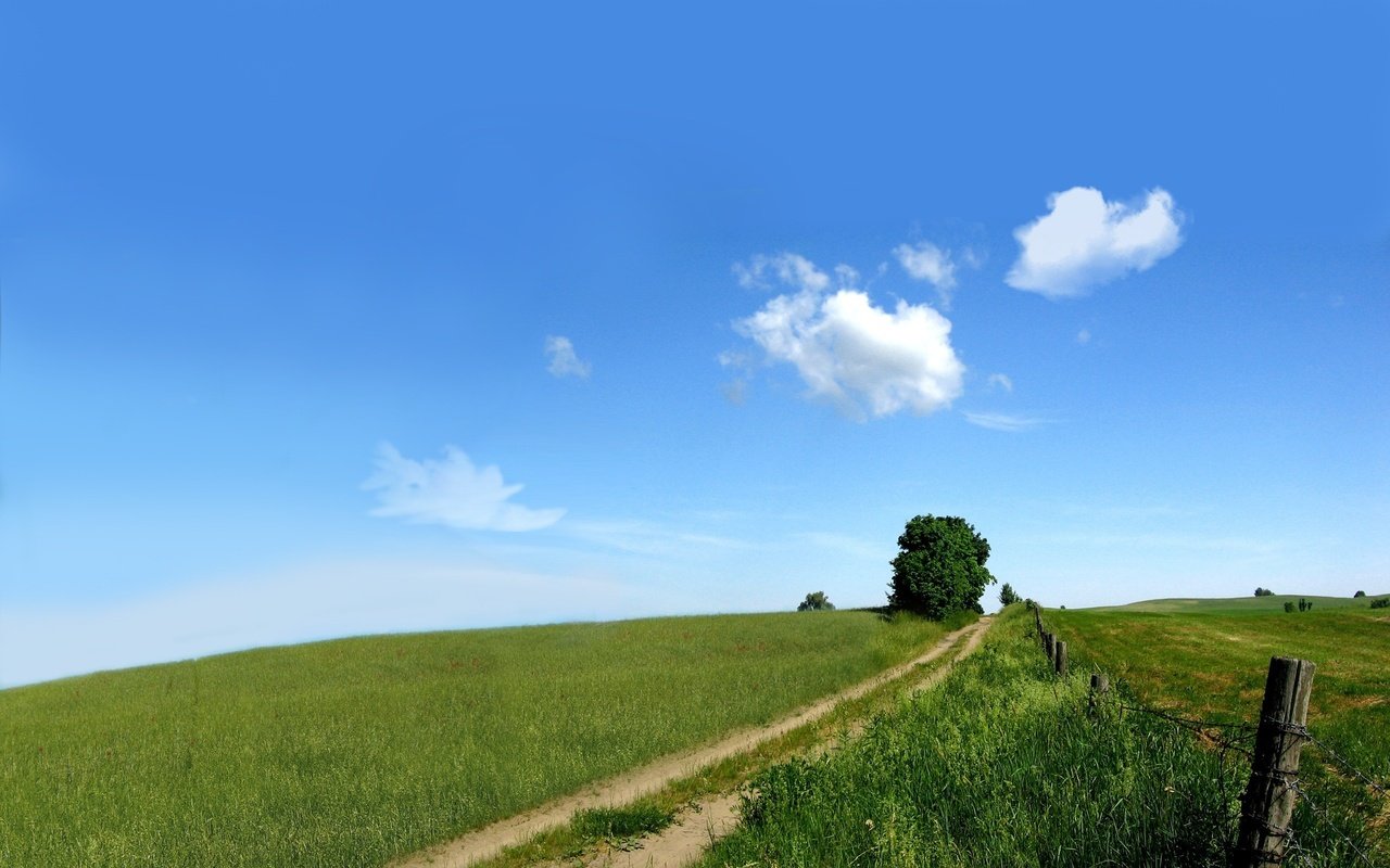 Обои небо, дорога, природа, зелень, поле, the sky, road, nature, greens, field разрешение 2560x1600 Загрузить