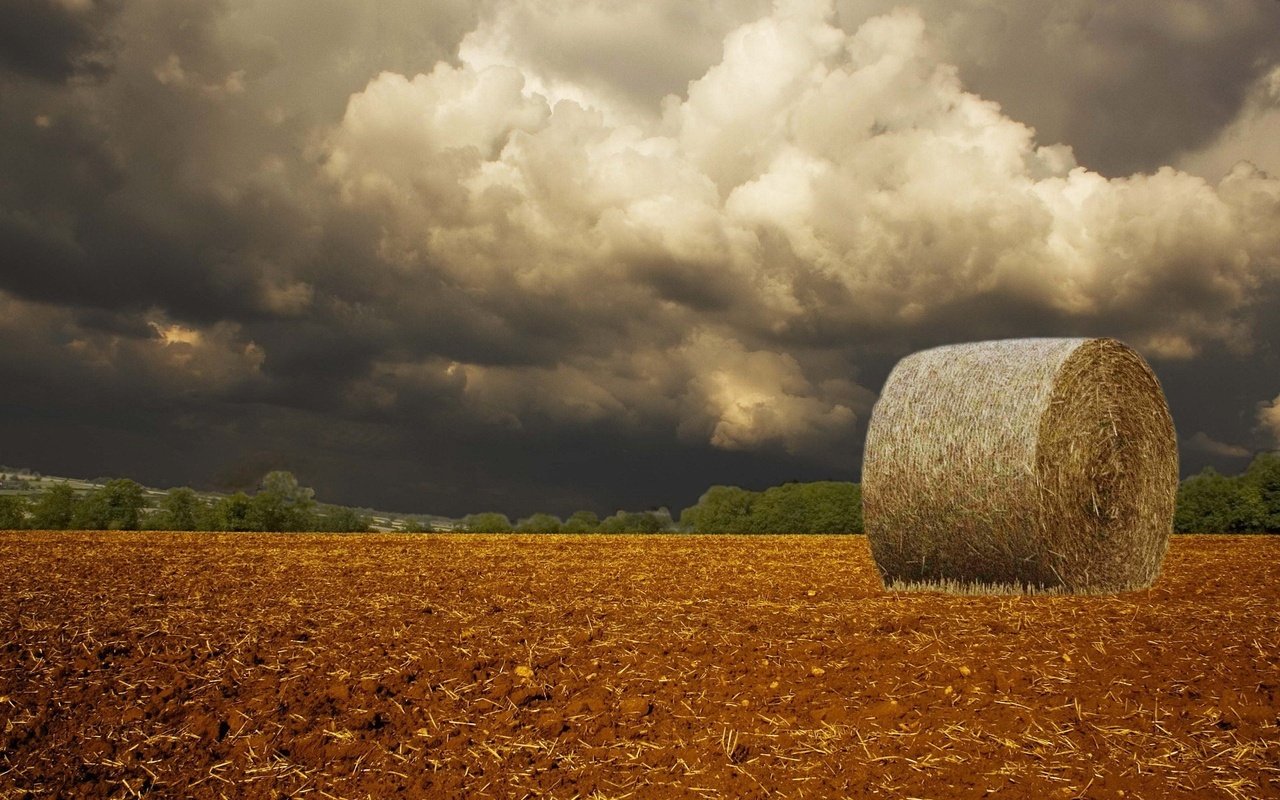 Обои облака, буря, поле, clouds, storm, field разрешение 1920x1440 Загрузить